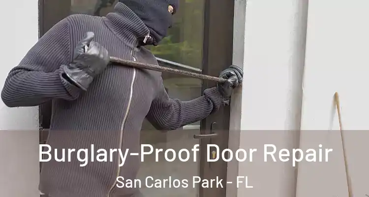  Burglary-Proof Door Repair San Carlos Park - FL