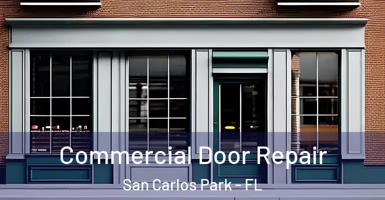  Commercial Door Repair San Carlos Park - FL