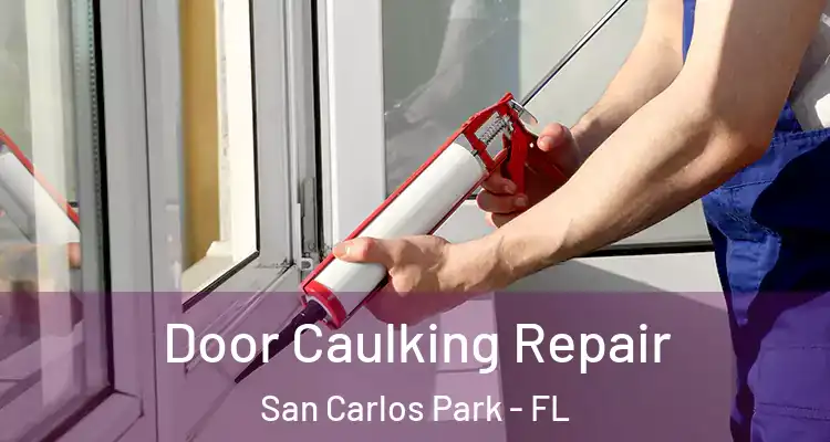  Door Caulking Repair San Carlos Park - FL
