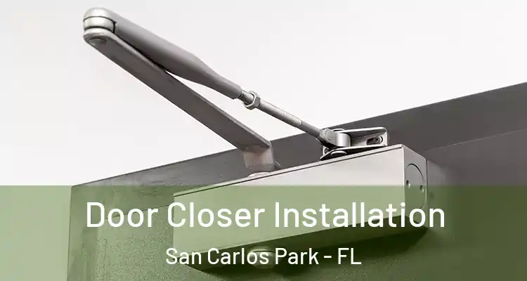  Door Closer Installation San Carlos Park - FL