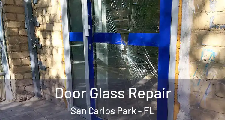  Door Glass Repair San Carlos Park - FL