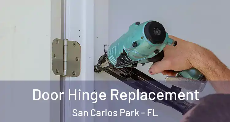  Door Hinge Replacement San Carlos Park - FL