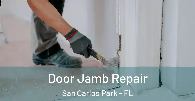  Door Jamb Repair San Carlos Park - FL