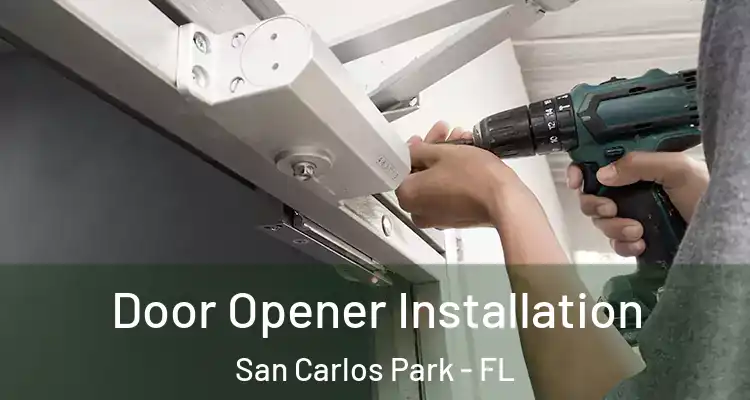  Door Opener Installation San Carlos Park - FL