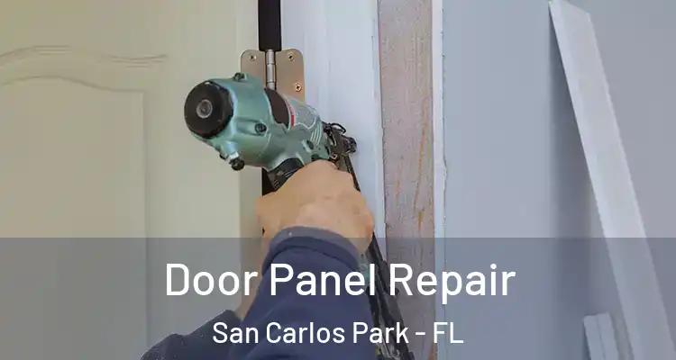  Door Panel Repair San Carlos Park - FL