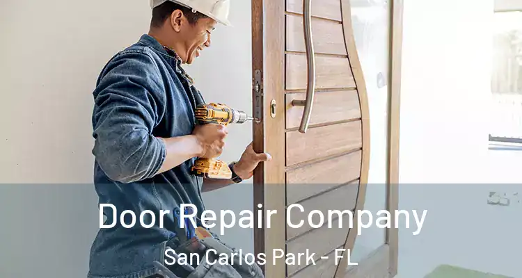  Door Repair Company San Carlos Park - FL
