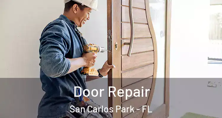  Door Repair San Carlos Park - FL