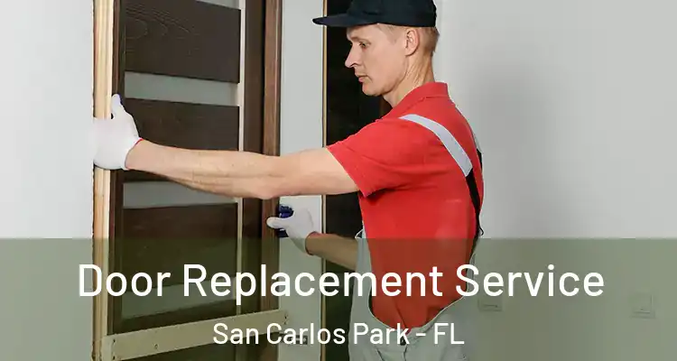  Door Replacement Service San Carlos Park - FL