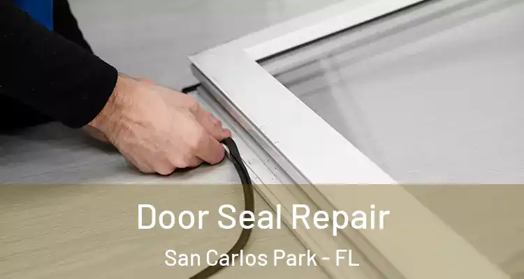  Door Seal Repair San Carlos Park - FL