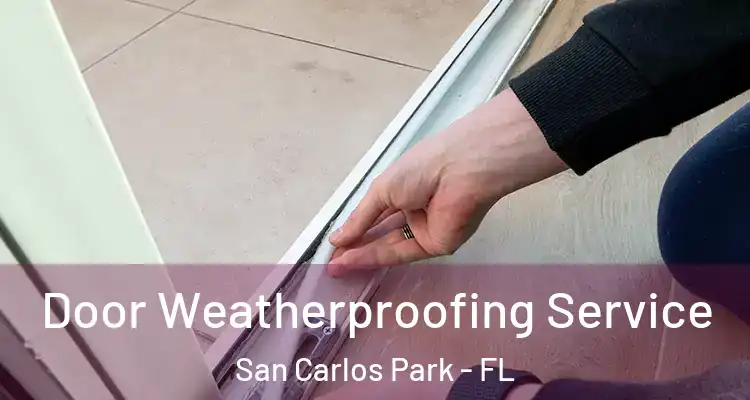  Door Weatherproofing Service San Carlos Park - FL
