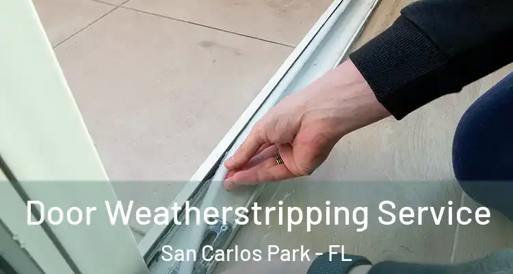  Door Weatherstripping Service San Carlos Park - FL