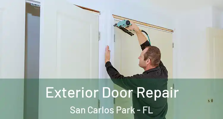  Exterior Door Repair San Carlos Park - FL