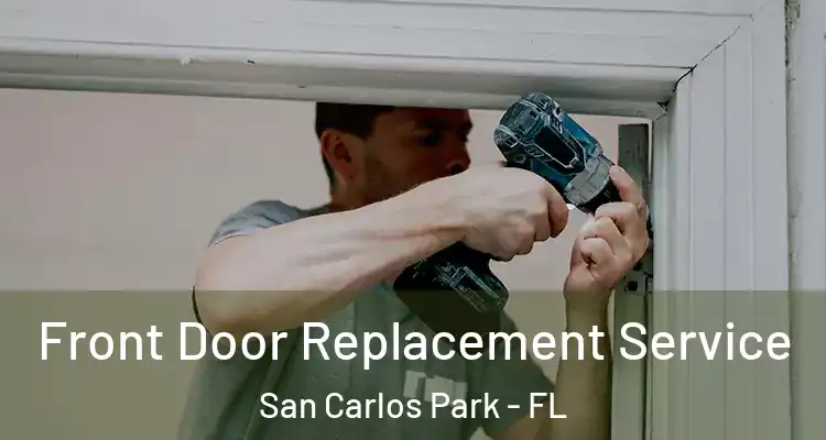  Front Door Replacement Service San Carlos Park - FL