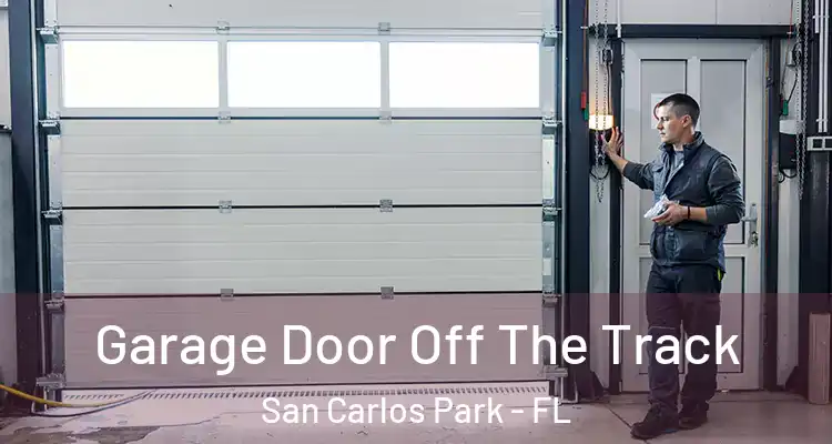  Garage Door Off The Track San Carlos Park - FL