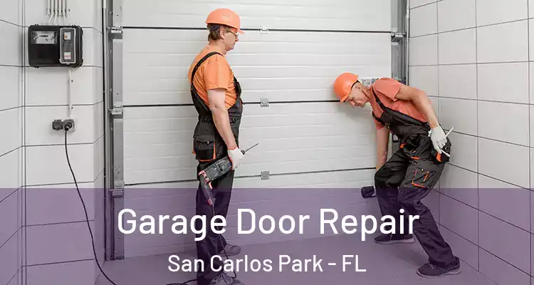  Garage Door Repair San Carlos Park - FL