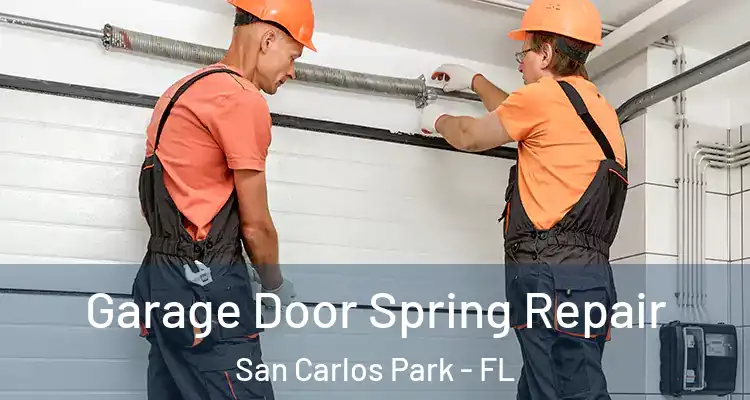  Garage Door Spring Repair San Carlos Park - FL