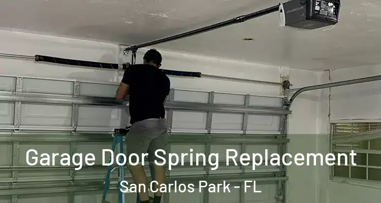 Garage Door Spring Replacement San Carlos Park - FL