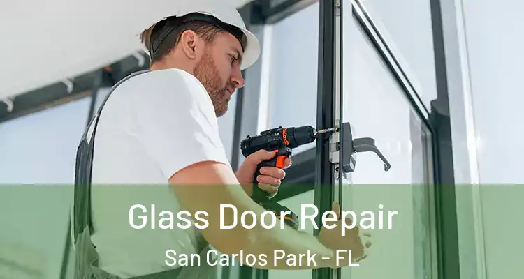  Glass Door Repair San Carlos Park - FL