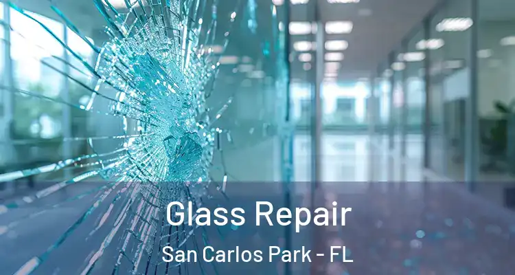  Glass Repair San Carlos Park - FL