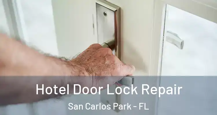  Hotel Door Lock Repair San Carlos Park - FL