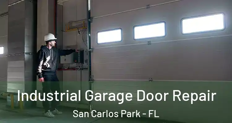  Industrial Garage Door Repair San Carlos Park - FL