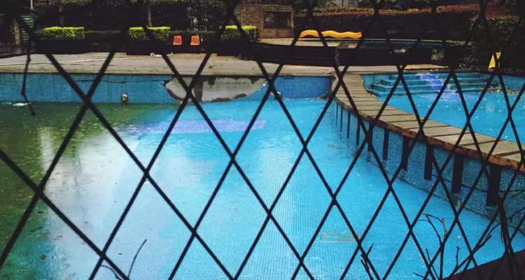 Lanai Screen Repair in San Carlos Park, FL