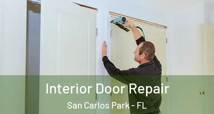  Interior Door Repair San Carlos Park - FL