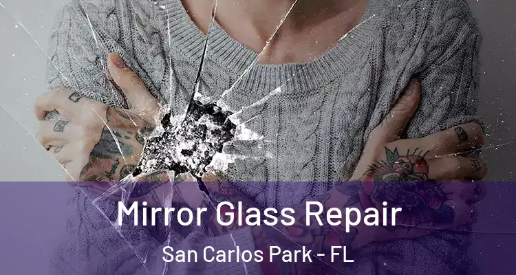  Mirror Glass Repair San Carlos Park - FL