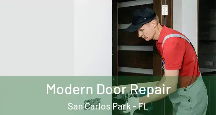  Modern Door Repair San Carlos Park - FL