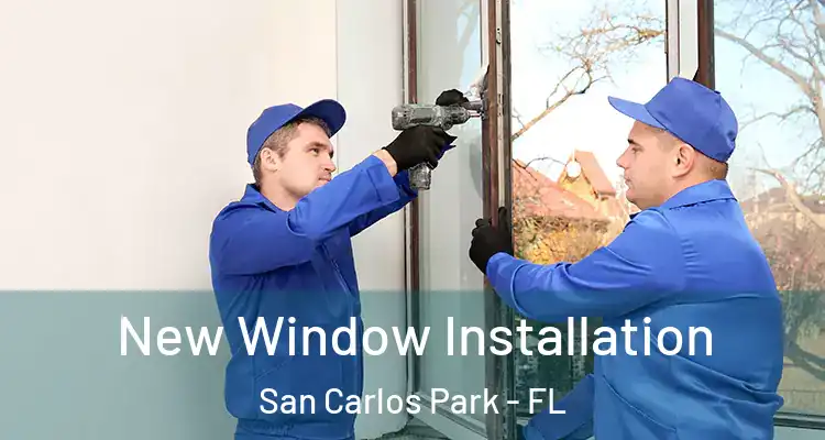  New Window Installation San Carlos Park - FL