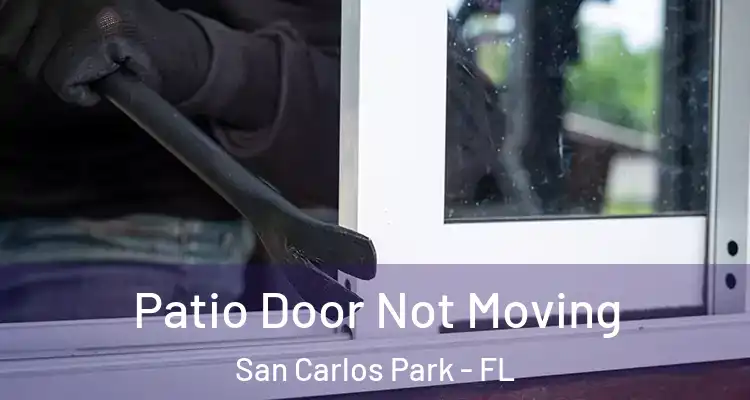  Patio Door Not Moving San Carlos Park - FL
