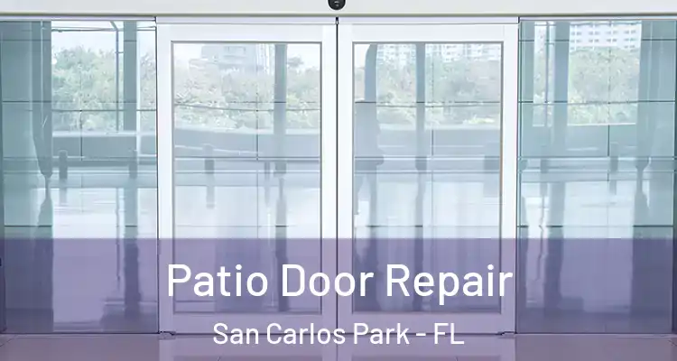  Patio Door Repair San Carlos Park - FL