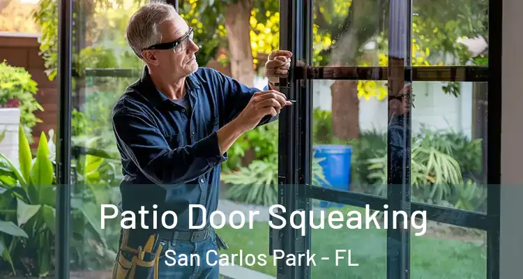  Patio Door Squeaking San Carlos Park - FL