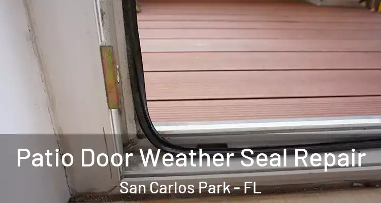  Patio Door Weather Seal Repair San Carlos Park - FL