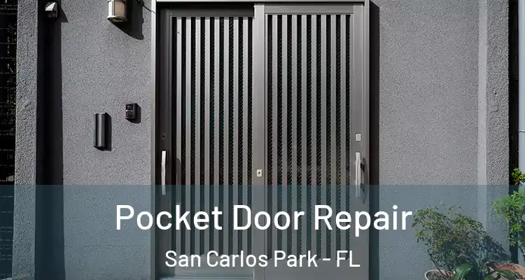  Pocket Door Repair San Carlos Park - FL