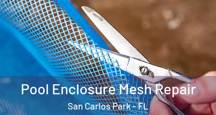  Pool Enclosure Mesh Repair San Carlos Park - FL