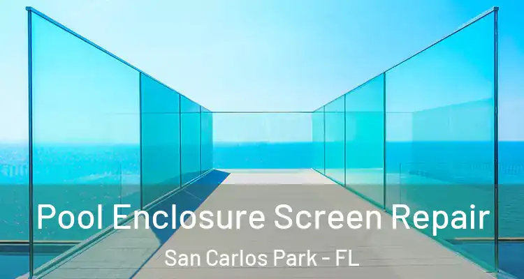  Pool Enclosure Screen Repair San Carlos Park - FL