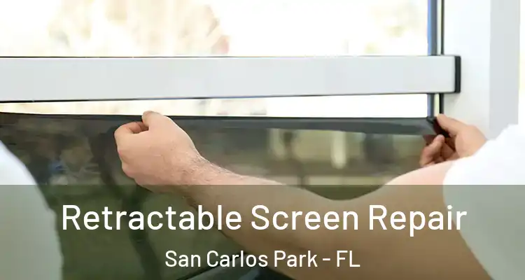 Retractable Screen Repair San Carlos Park - FL
