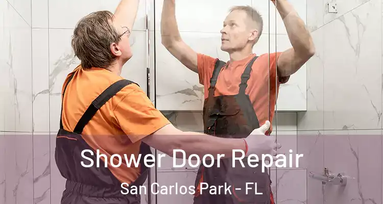  Shower Door Repair San Carlos Park - FL