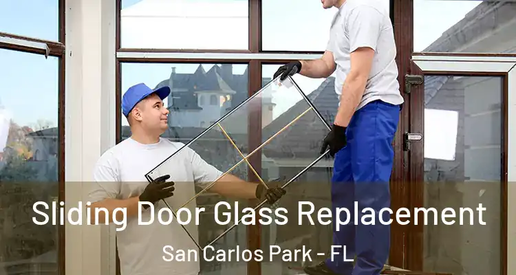  Sliding Door Glass Replacement San Carlos Park - FL