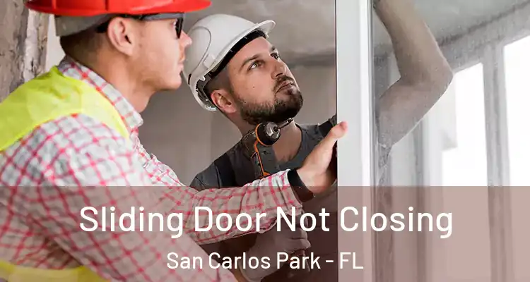  Sliding Door Not Closing San Carlos Park - FL