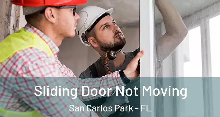  Sliding Door Not Moving San Carlos Park - FL