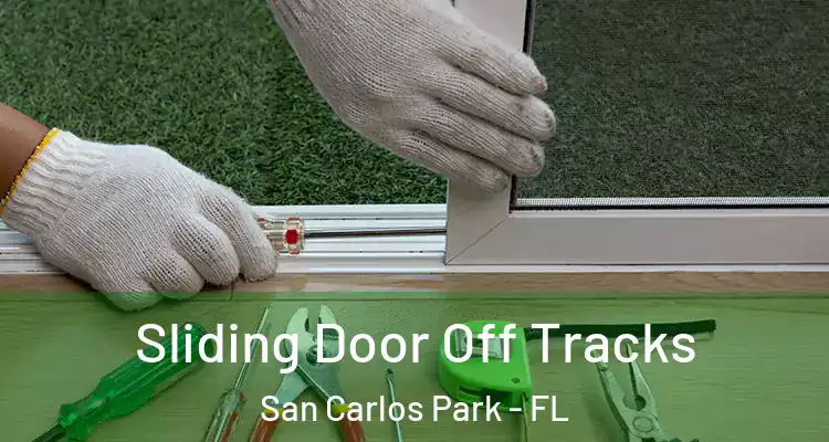  Sliding Door Off Tracks San Carlos Park - FL