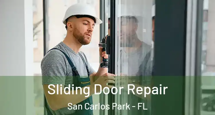  Sliding Door Repair San Carlos Park - FL