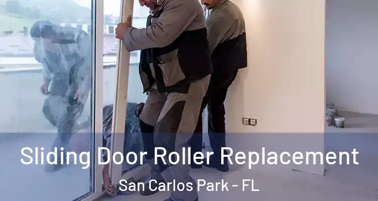  Sliding Door Roller Replacement San Carlos Park - FL