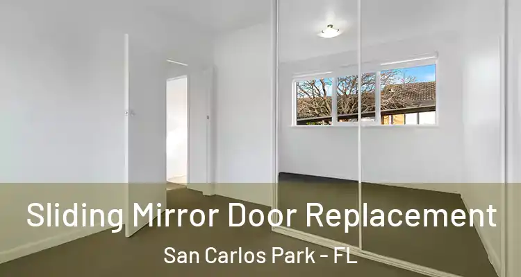  Sliding Mirror Door Replacement San Carlos Park - FL