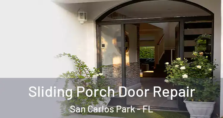  Sliding Porch Door Repair San Carlos Park - FL