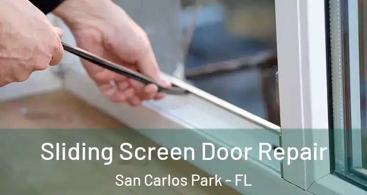 Sliding Screen Door Repair San Carlos Park - FL