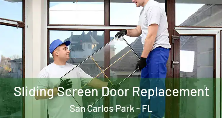  Sliding Screen Door Replacement San Carlos Park - FL