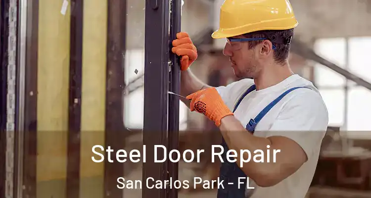  Steel Door Repair San Carlos Park - FL